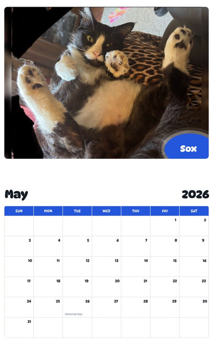 2026 - 2027 Sox - Pawidols Pet Calendar
