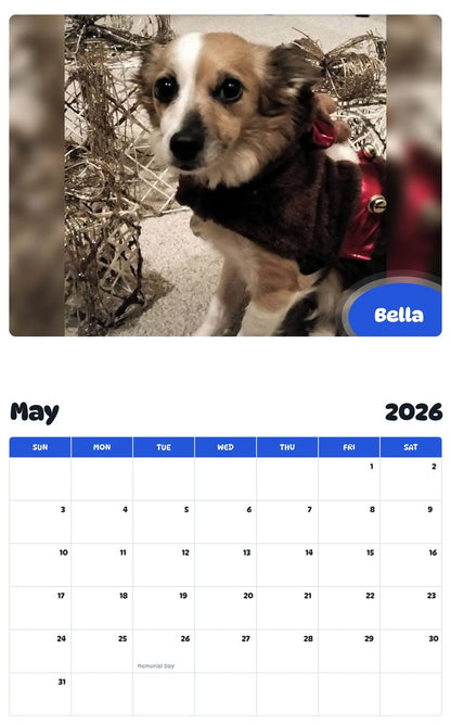 2026 - 2027 Bella - Pawidols Pet Calendar