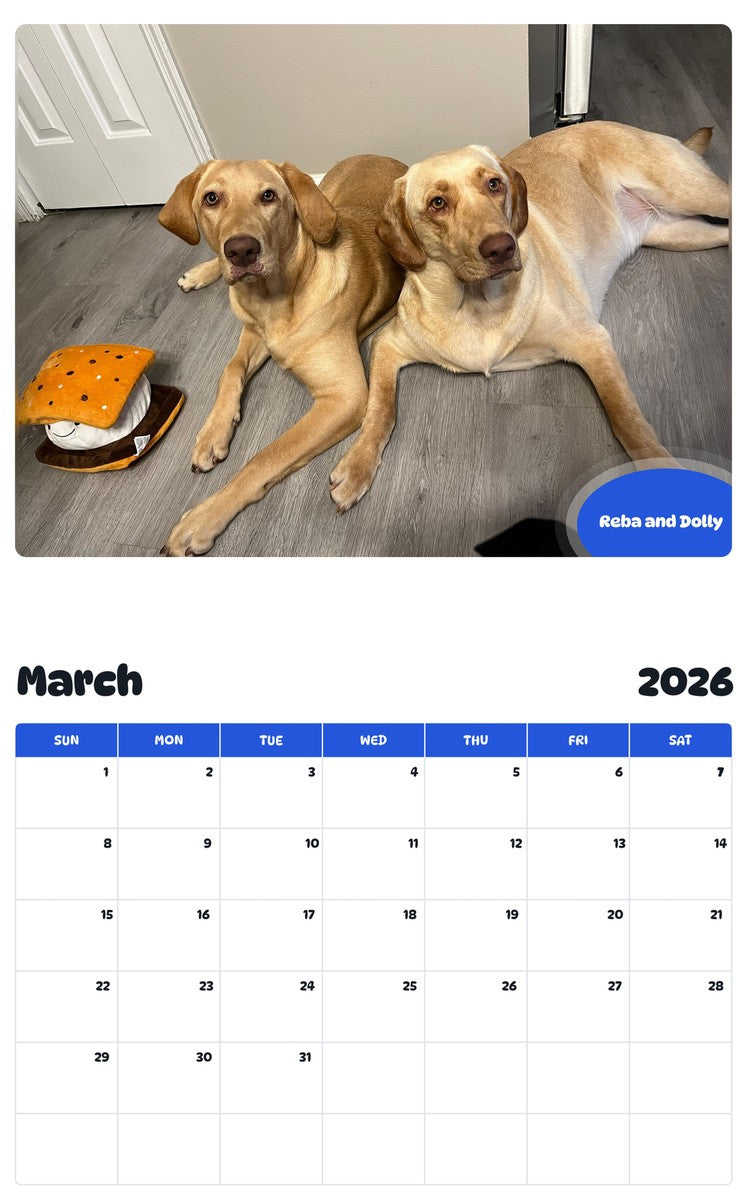 November 2025 - October 2026 Reba and Dolly - Pawidols Pet Calendar