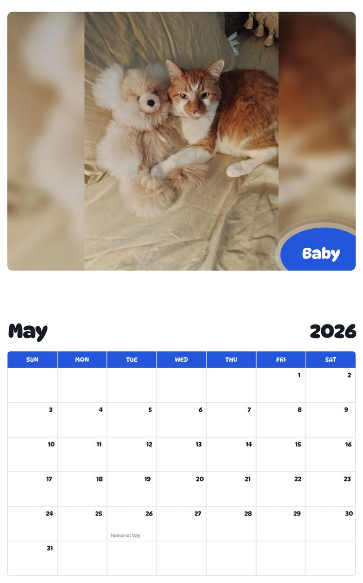 2026 - 2027 Baby - Pawidols Pet Calendar