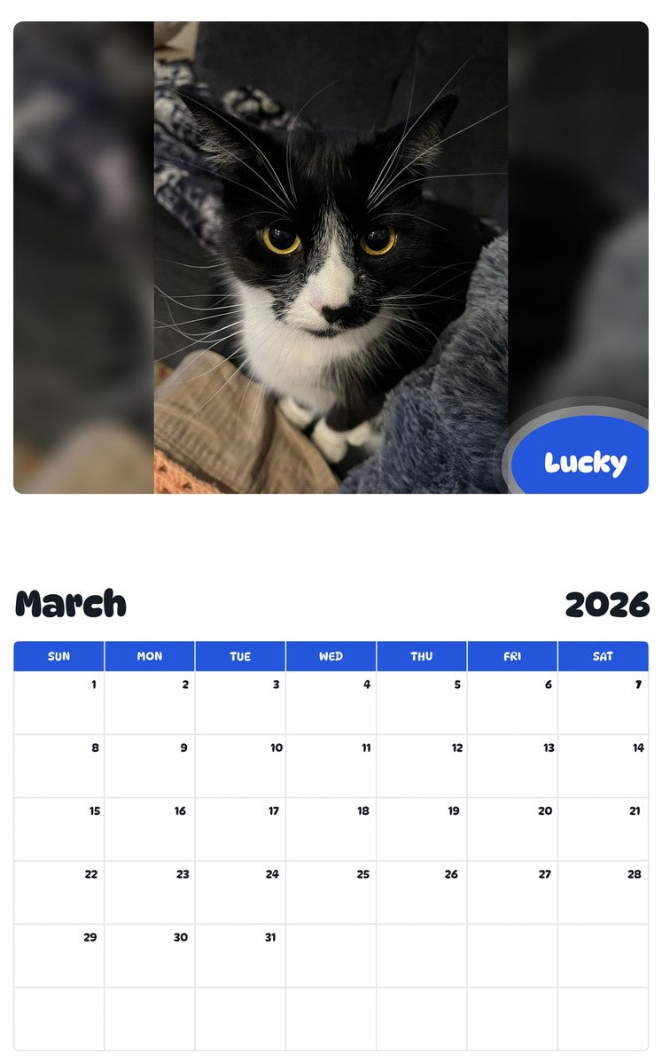 November 2025 - October 2026 Lucky - Pawidols Pet Calendar