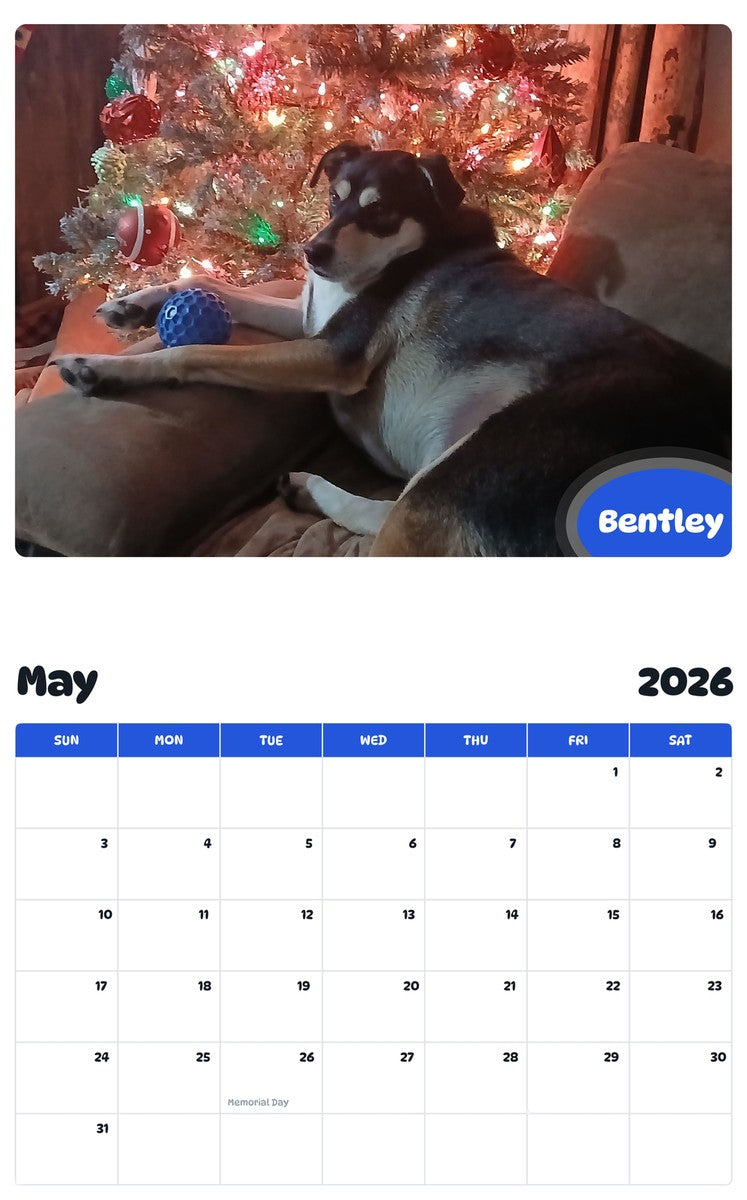 2026 - 2027 Bentley - Pawidols Pet Calendar