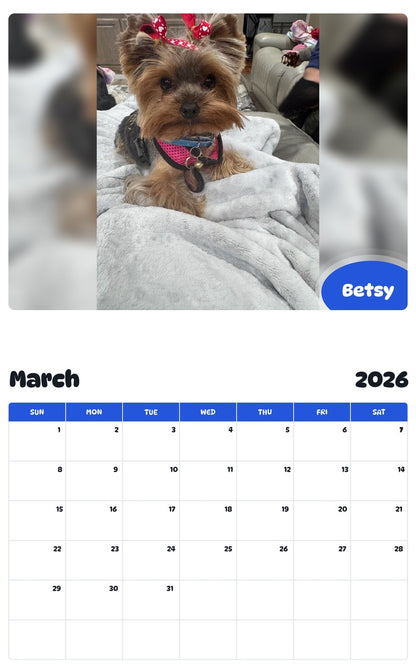 November 2025 - October 2026 Betsy - Pawidols Pet Calendar