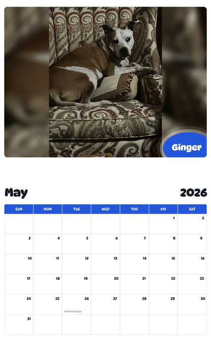 2026 - 2027 Ginger - Pawidols Pet Calendar