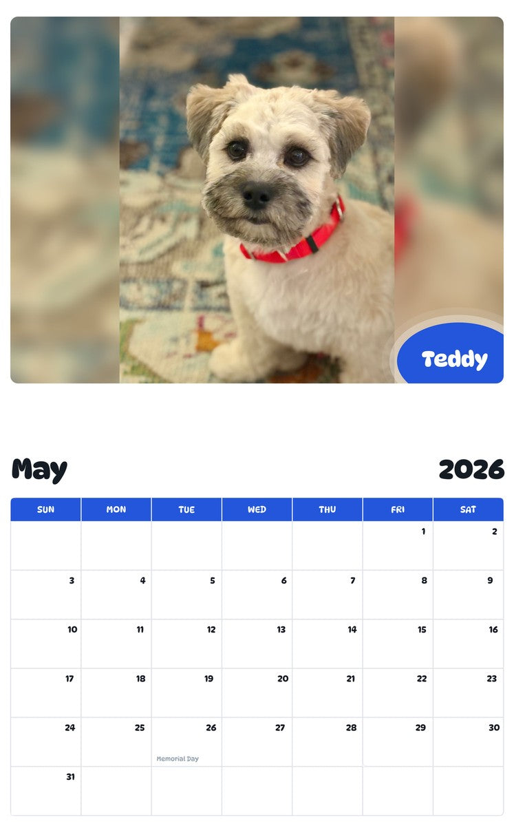 2026 - 2027 Teddy - Pawidols Pet Calendar