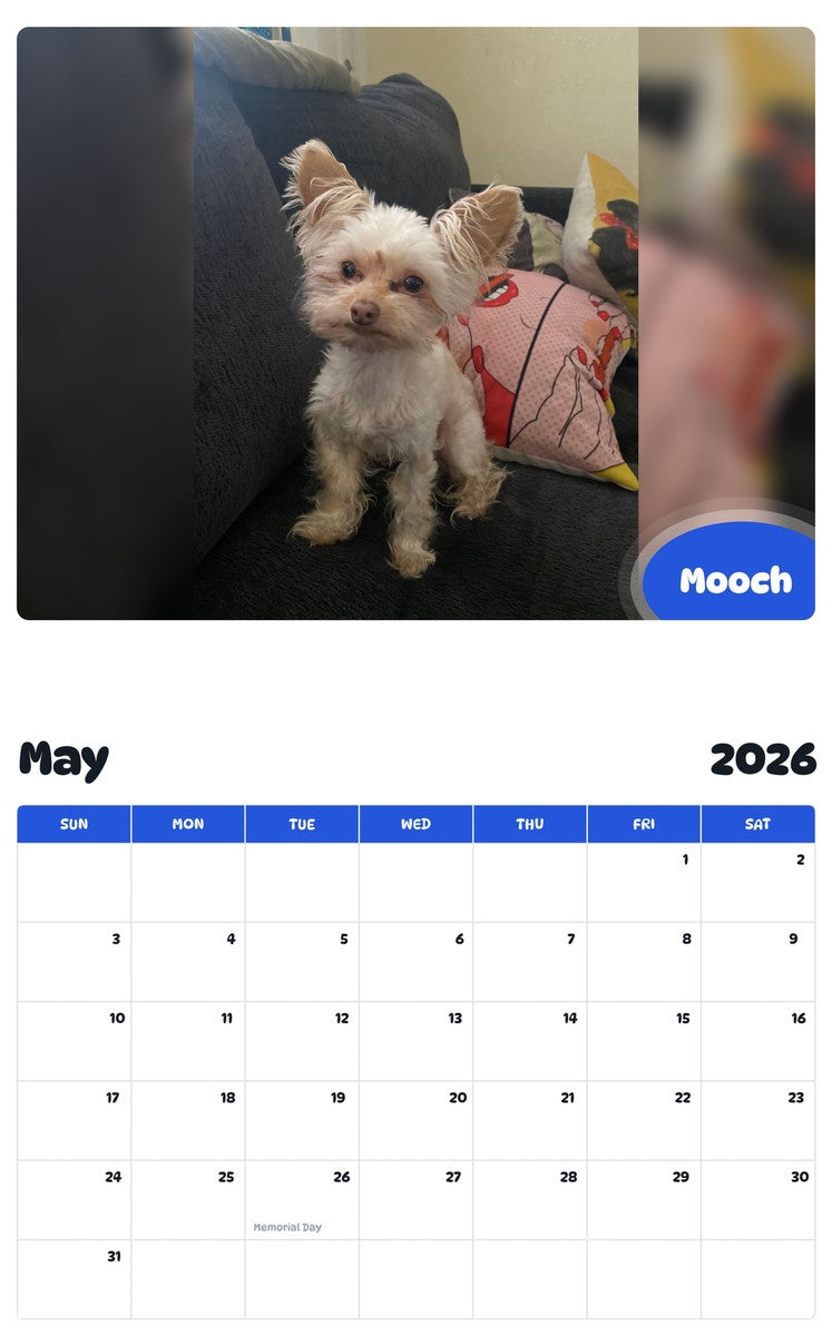 2026 - 2027 Mooch - Pawidols Pet Calendar