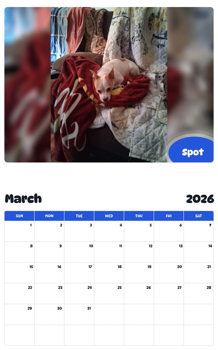 November 2025 - October 2026 Spot - Pawidols Pet Calendar