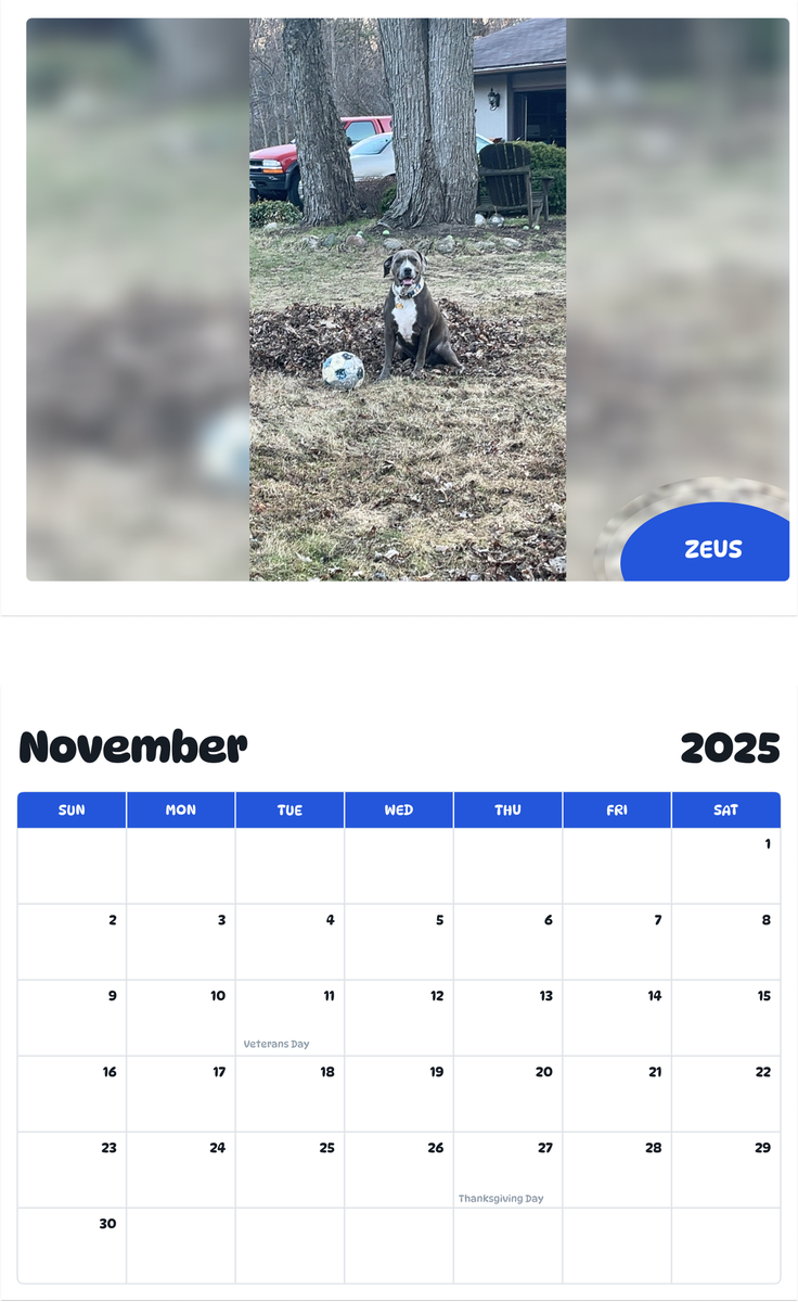 July 2025 - June 2026 Zeus - Pawidols Pet Calendar