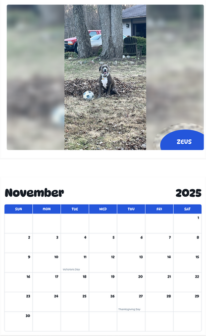 July 2025 - June 2026 Zeus - Pawidols Pet Calendar