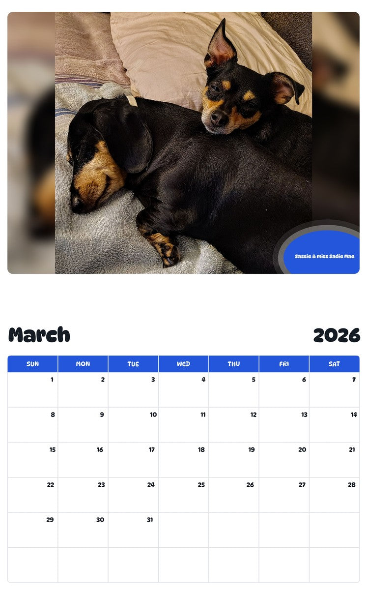 November 2025 - October 2026 Sassie & miss Sadie Mae - Pawidols Pet Calendar