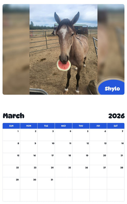 November 2025 - October 2026 Shylo - Pawidols Pet Calendar