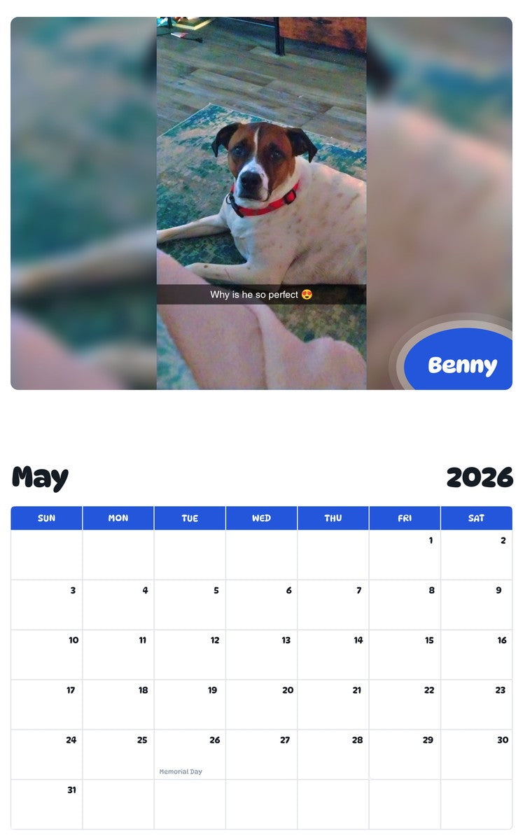 2026 - 2027 Benny - Pawidols Pet Calendar