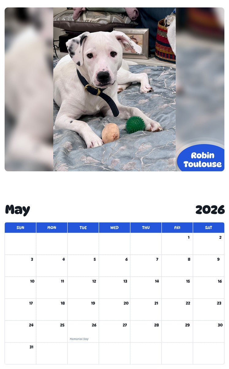 2026 - 2027 Robin Toulouse - Pawidols Pet Calendar