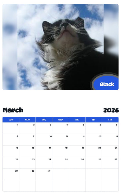 November 2025 - October 2026 Black - Pawidols Pet Calendar