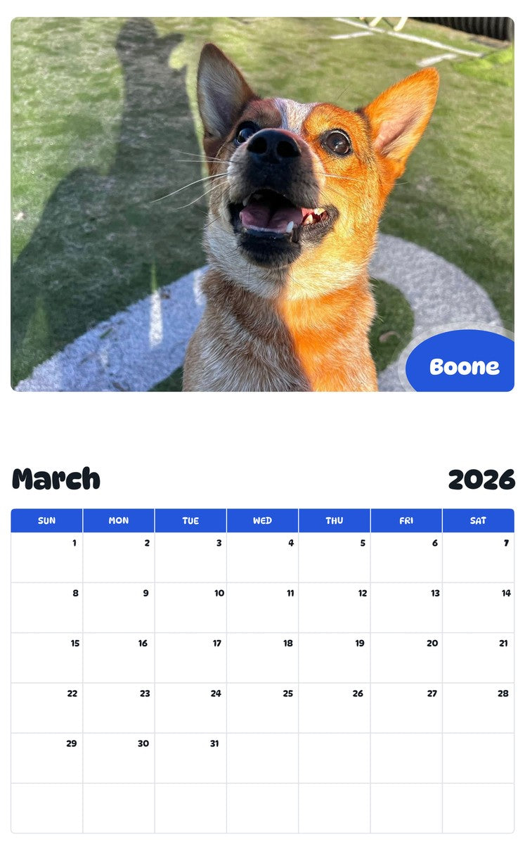 November 2025 - October 2026 Boone - Pawidols Pet Calendar