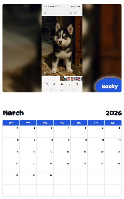 November 2025 - October 2026 Rocky - Pawidols Pet Calendar
