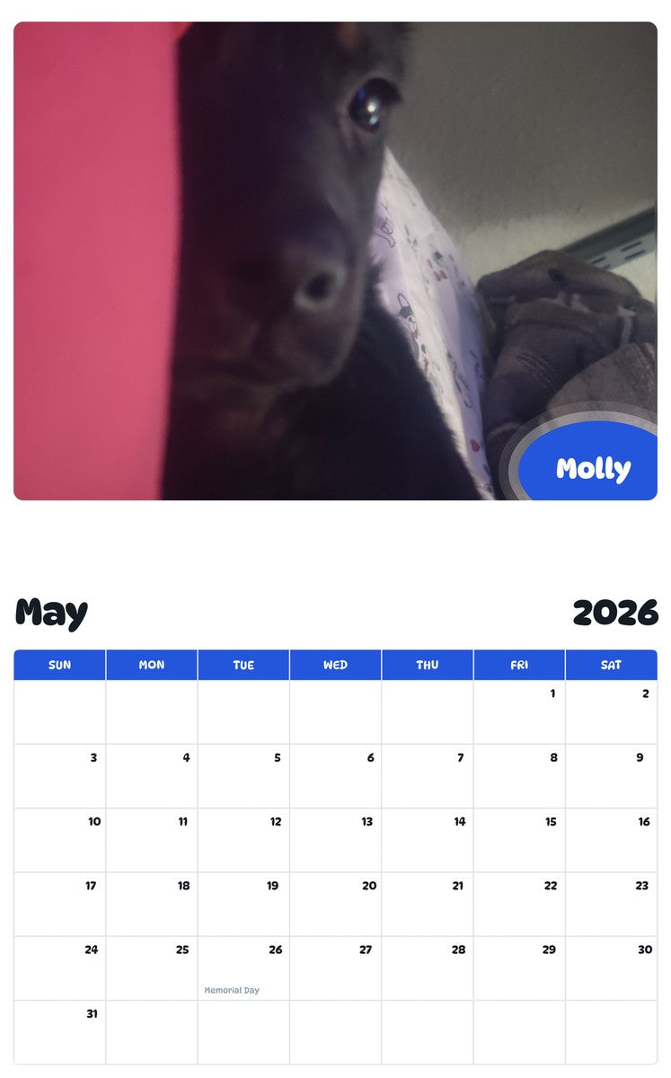2026 - 2027 Molly - Pawidols Pet Calendar
