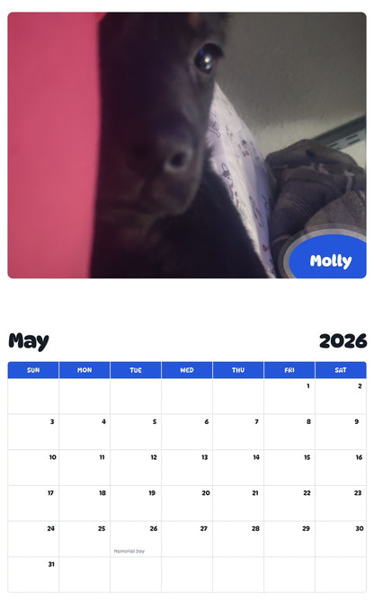 2026 - 2027 Molly - Pawidols Pet Calendar