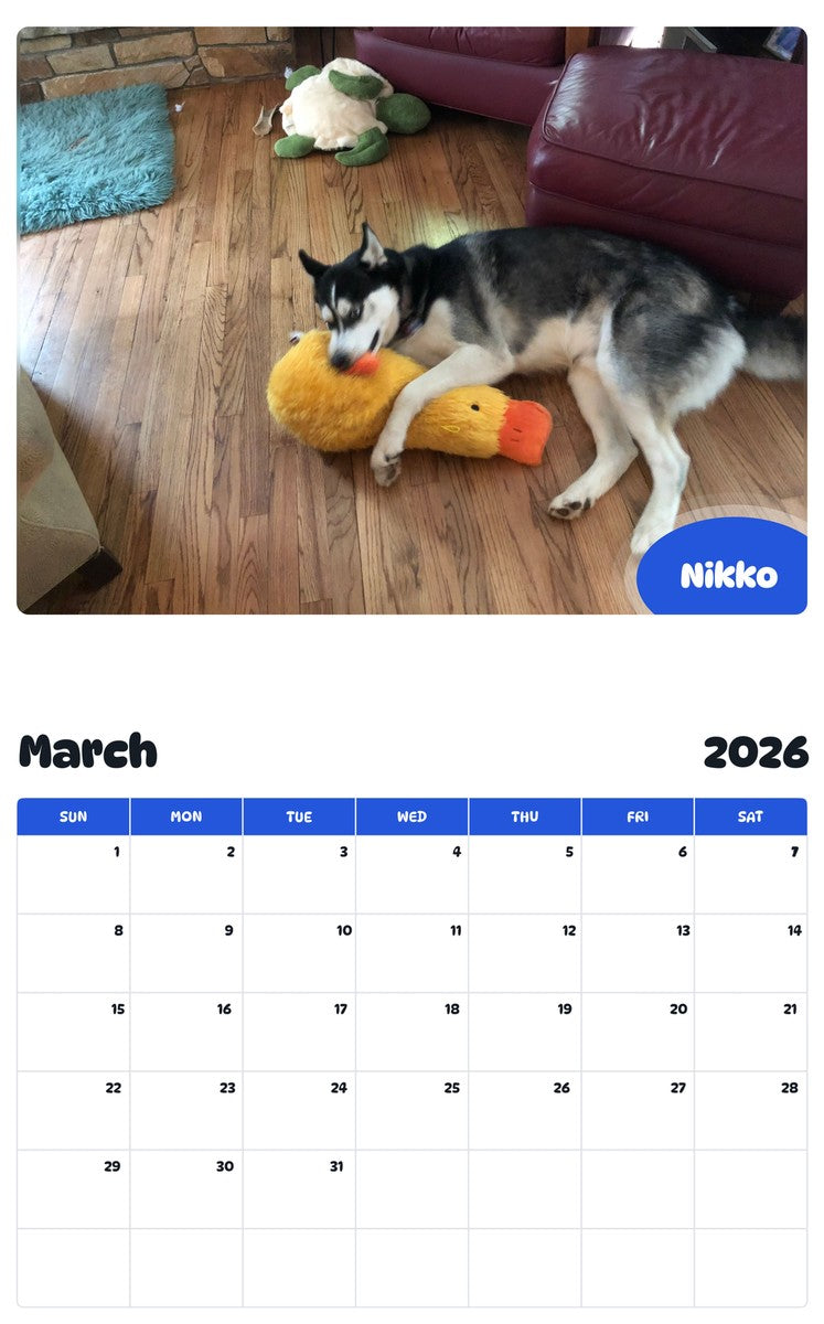 November 2025 - October 2026 Nikko - Pawidols Pet Calendar
