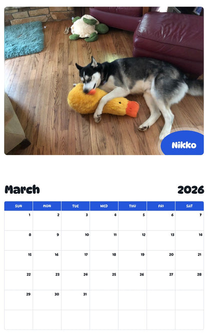 November 2025 - October 2026 Nikko - Pawidols Pet Calendar