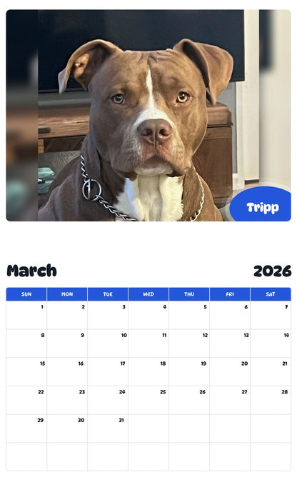 November 2025 - October 2026 Tripp - Pawidols Pet Calendar