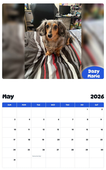 2026 - 2027 Dazy Marie - Pawidols Pet Calendar