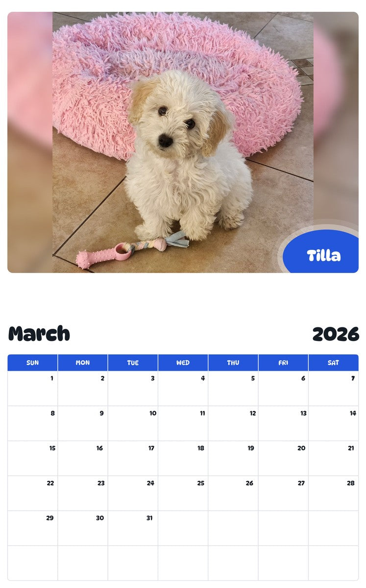 November 2025 - October 2026 Tilla - Pawidols Pet Calendar