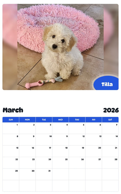 November 2025 - October 2026 Tilla - Pawidols Pet Calendar