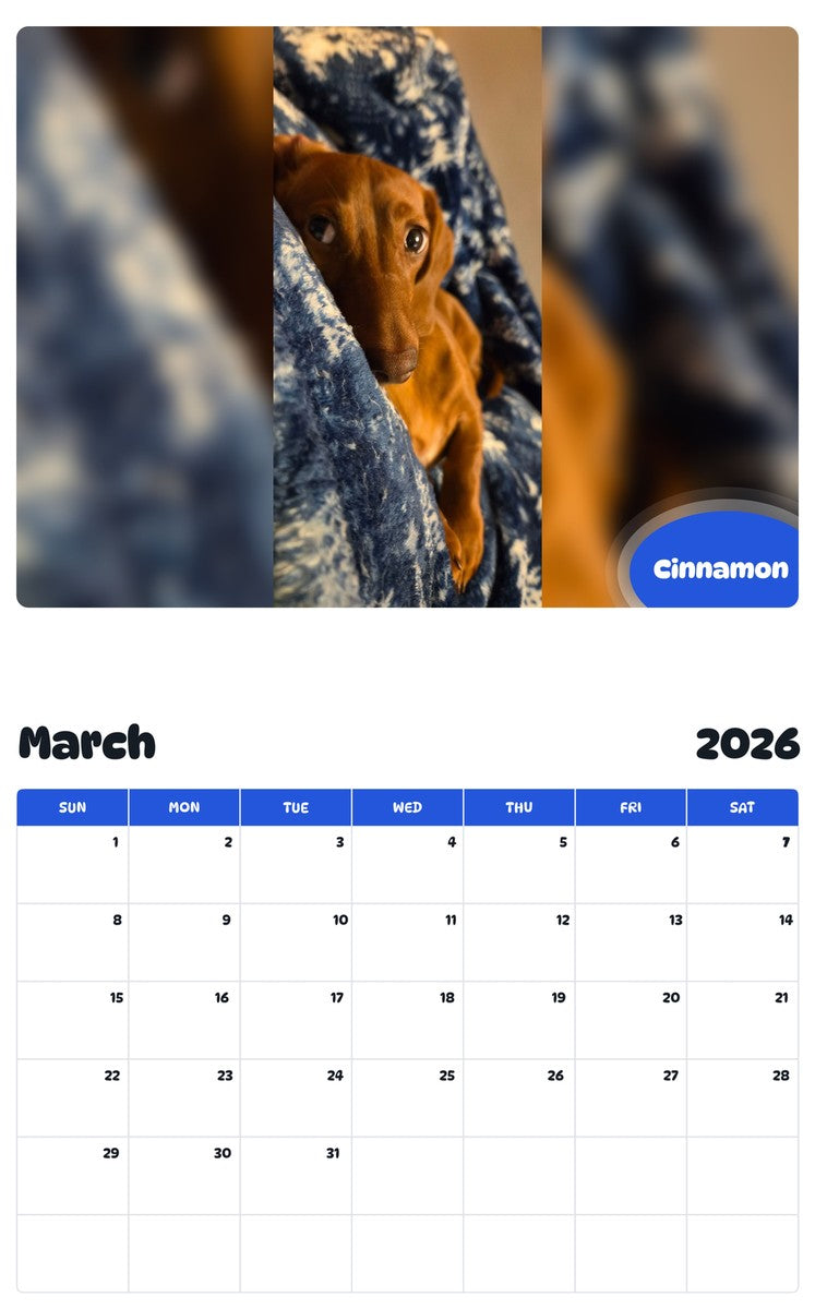 November 2025 - October 2026 Cinnamon - Pawidols Pet Calendar