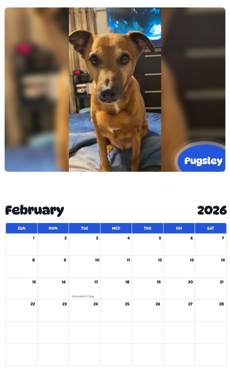 October 2025 - September 2026 Pugsley - Pawidols Pet Calendar