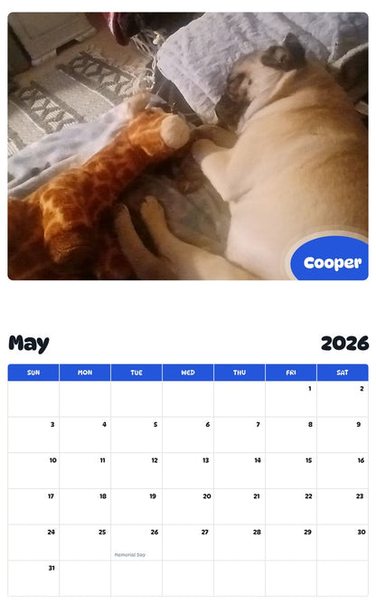 2026 - 2027 Cooper - Pawidols Pet Calendar