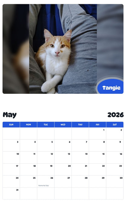 2026 - 2027 Tangie - Pawidols Pet Calendar