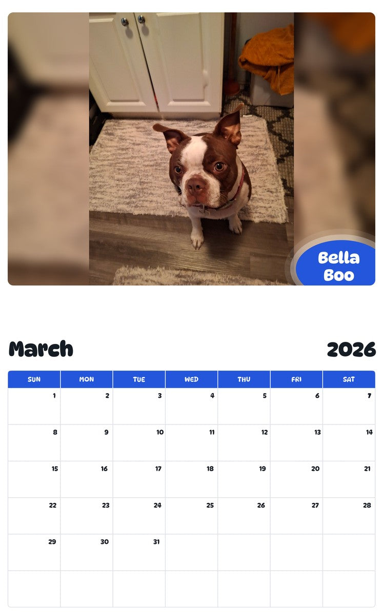 November 2025 - October 2026 Bella Boo - Pawidols Pet Calendar