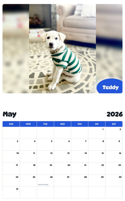 2026 - 2027 Teddy - Pawidols Pet Calendar