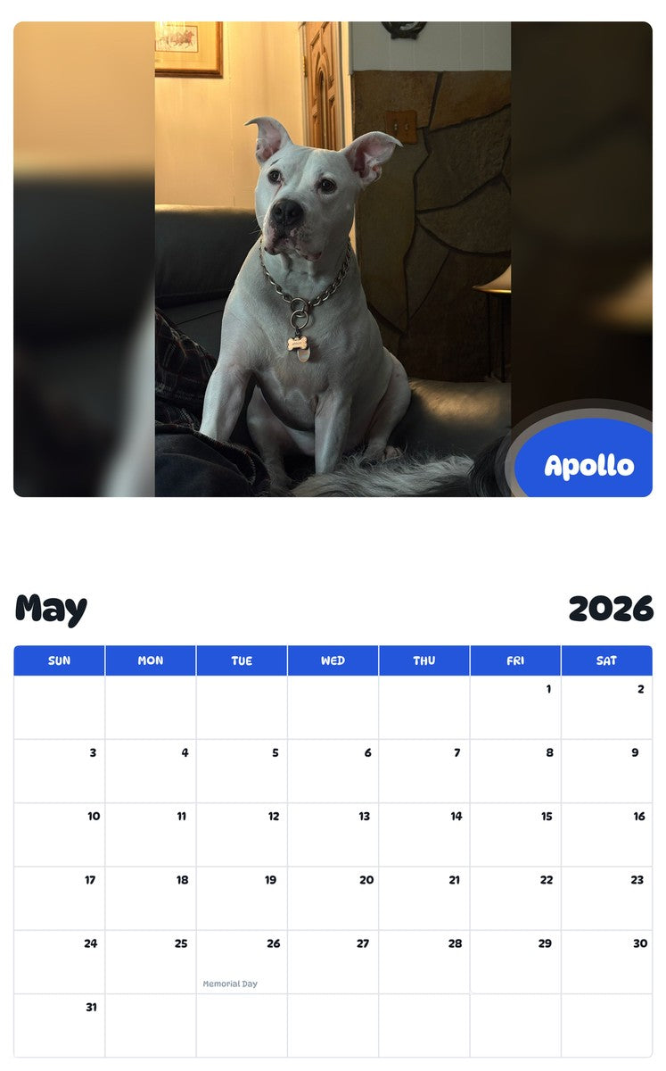 2026 - 2027 Apollo - Pawidols Pet Calendar