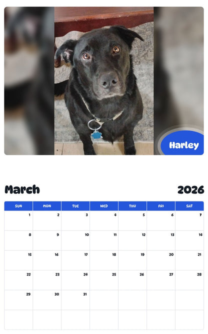 November 2025 - October 2026 Harley - Pawidols Pet Calendar