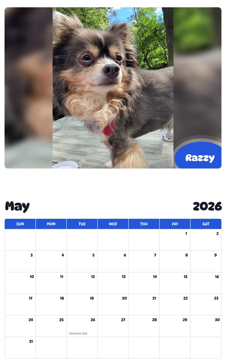2026 - 2027 Razzy - Pawidols Pet Calendar