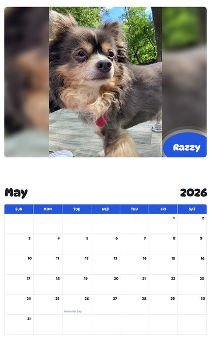 2026 - 2027 Razzy - Pawidols Pet Calendar