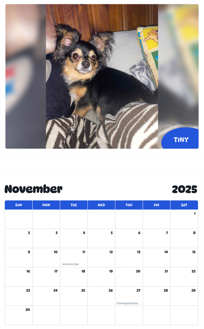 July 2025 - June 2026 tiny - Pawidols Pet Calendar