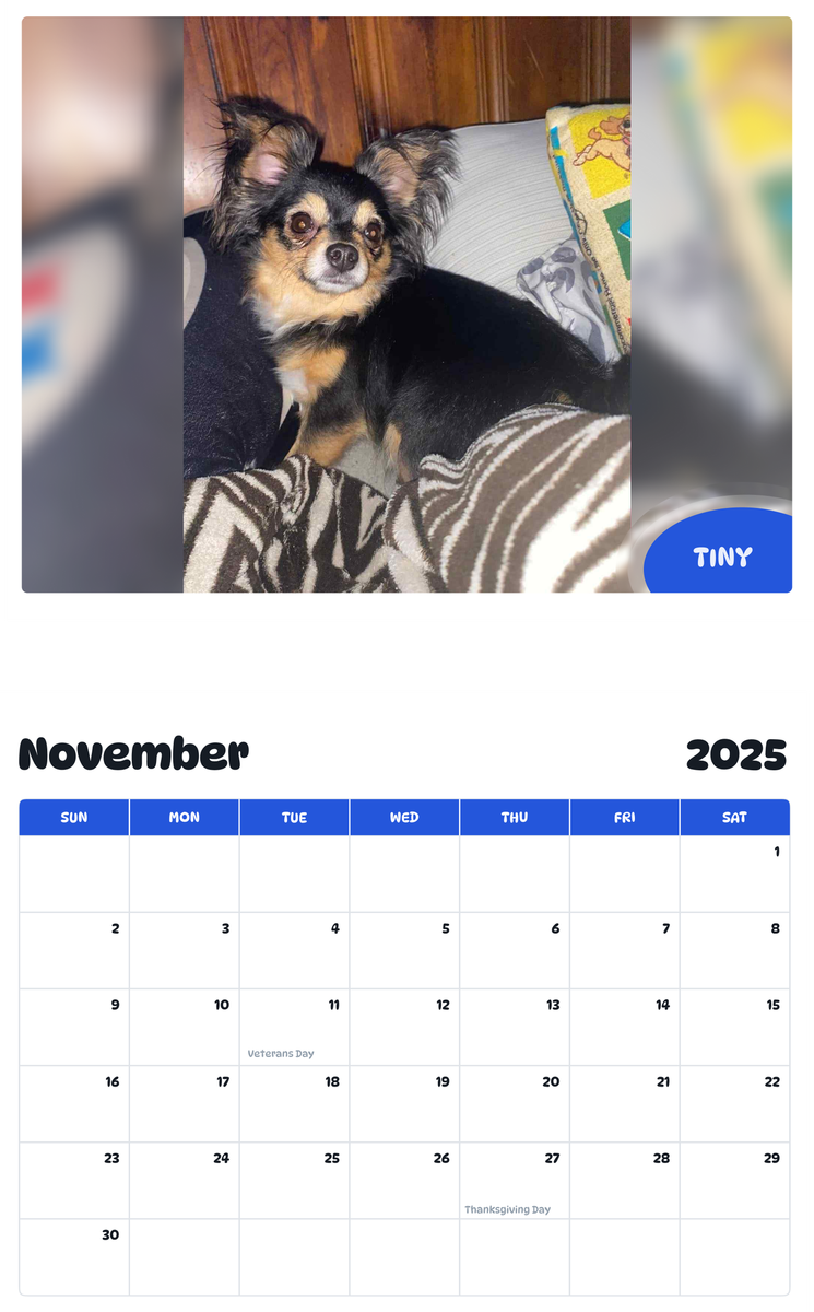 July 2025 - June 2026 tiny - Pawidols Pet Calendar
