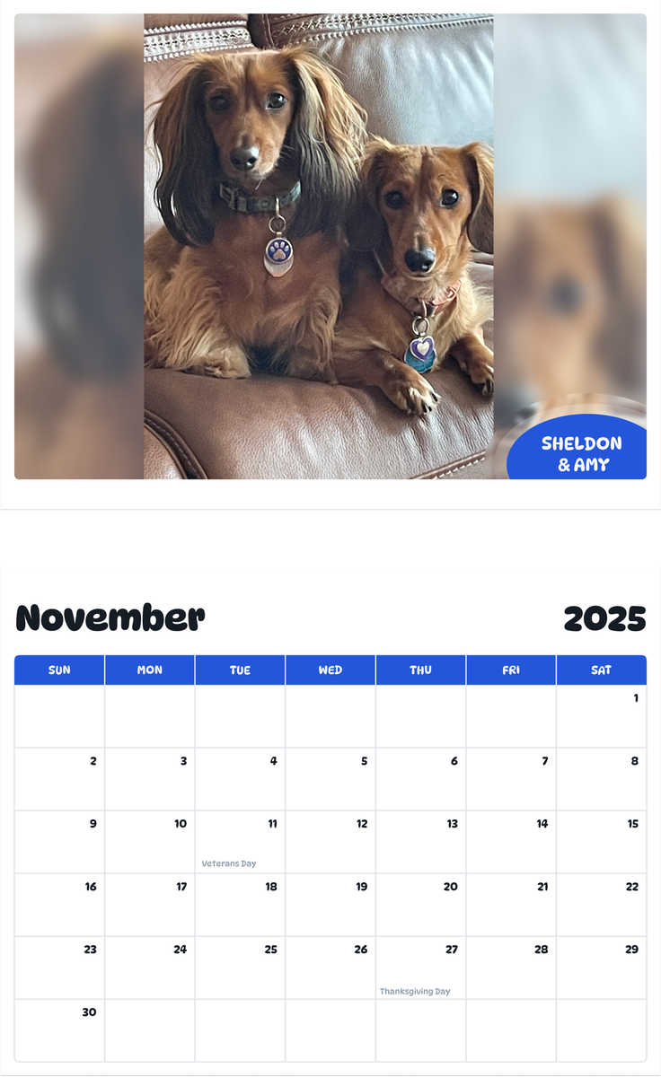 July 2025 - June 2026 Sheldon & Amy - Pawidols Pet Calendar