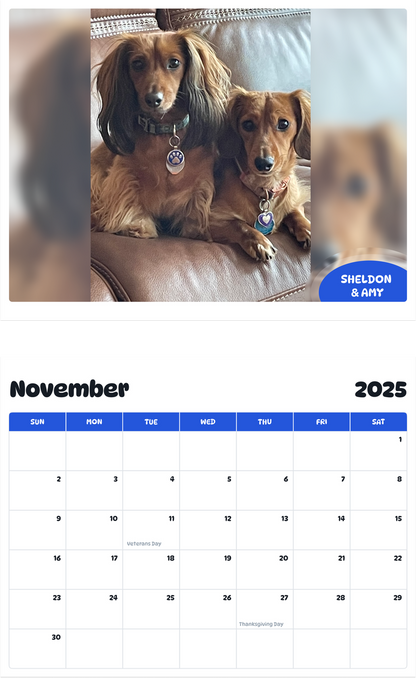 July 2025 - June 2026 Sheldon & Amy - Pawidols Pet Calendar