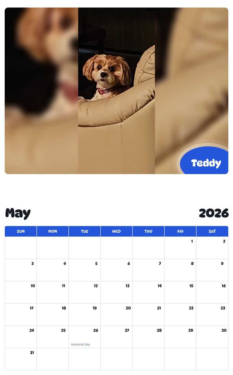 2026 - 2027 Teddy - Pawidols Pet Calendar