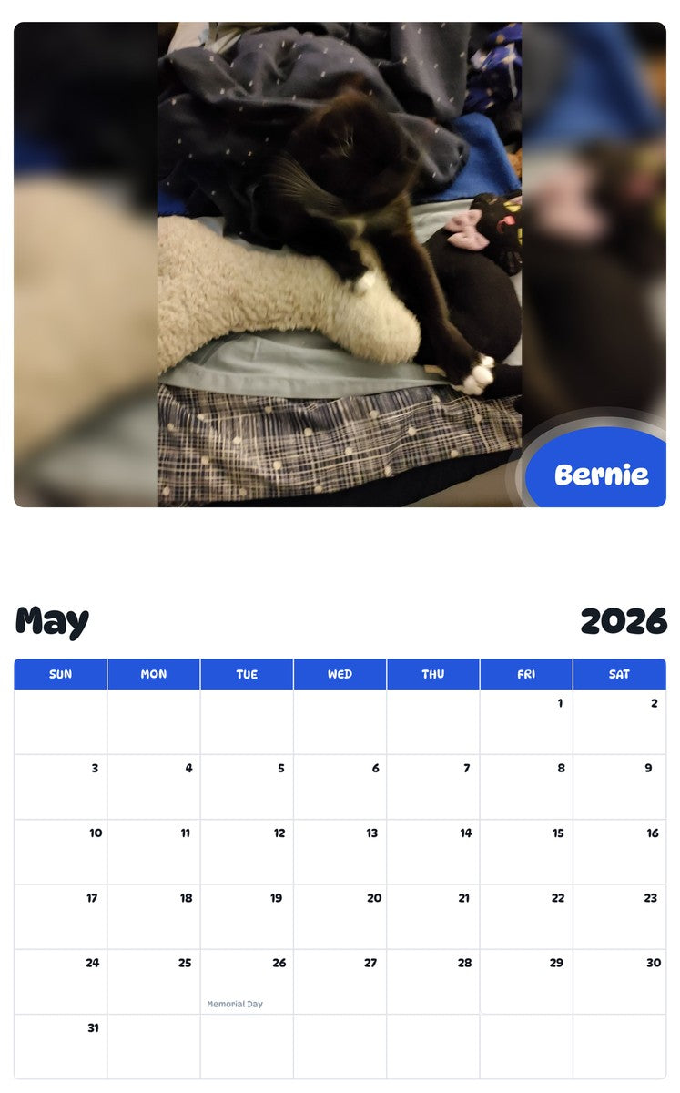 2026 - 2027 Bernie - Pawidols Pet Calendar