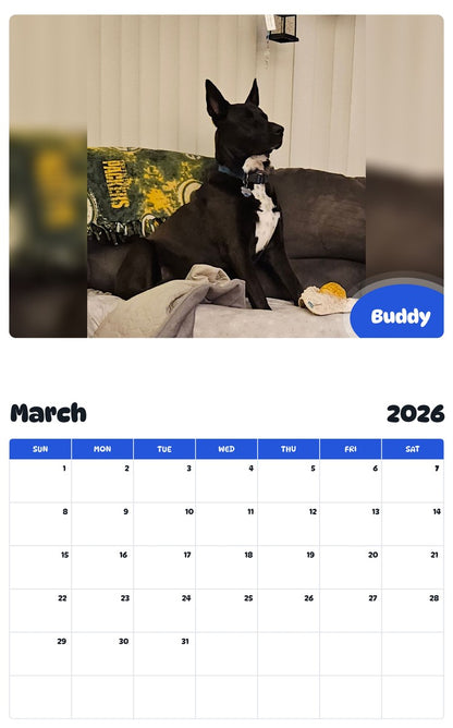 November 2025 - October 2026 Buddy - Pawidols Pet Calendar
