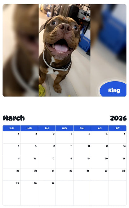 November 2025 - October 2026 King - Pawidols Pet Calendar