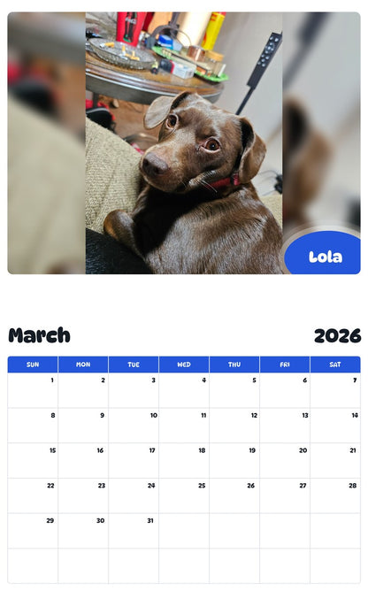 November 2025 - October 2026 Lola - Pawidols Pet Calendar