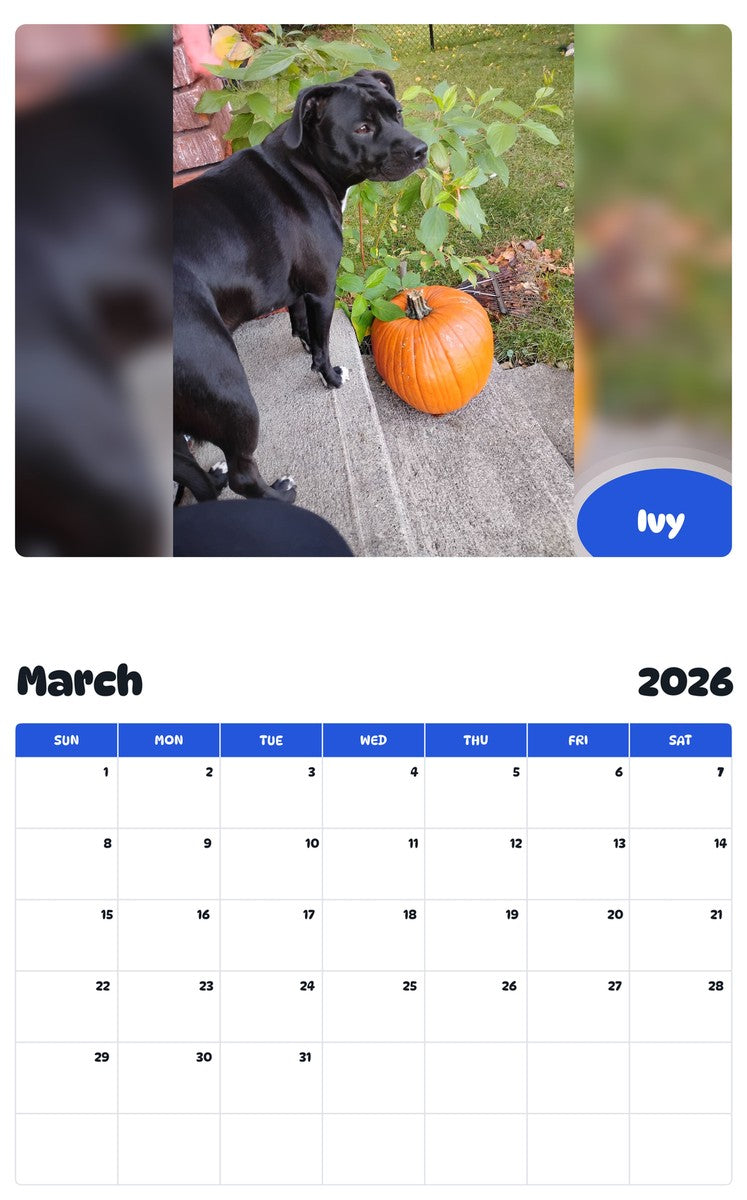 November 2025 - October 2026 Ivy - Pawidols Pet Calendar