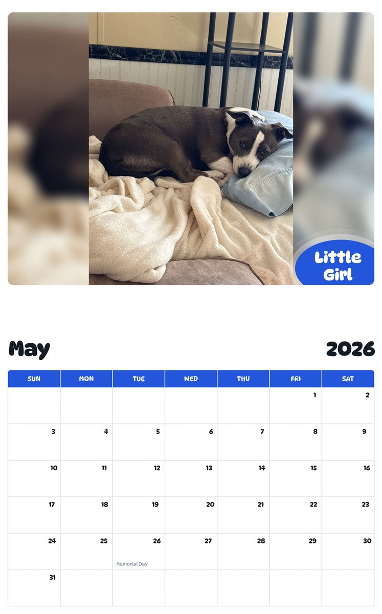 2026 - 2027 Little Girl - Pawidols Pet Calendar