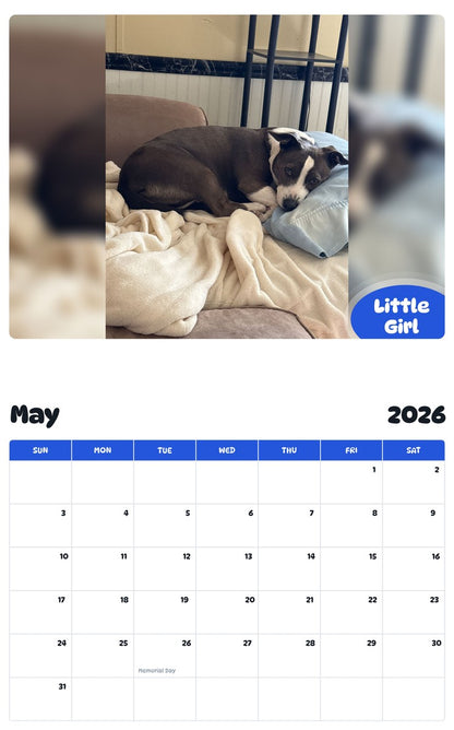 2026 - 2027 Little Girl - Pawidols Pet Calendar